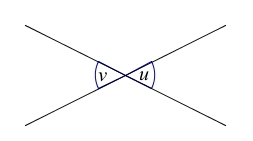 To stråler som krysser hverandre og danner to toppvinkler.